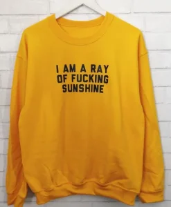 I am a ray of fucking sunshine sweatshirt ch